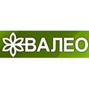 Логотип компании Валео, ЧФ (Харьков)