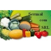 Логотип компании SERM-Com, SRL (Штефан-Водэ)