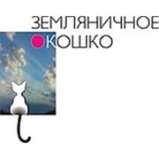 Логотип компании ЧПУП «Дневник дизайнера» (Минск)