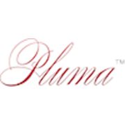 Логотип компании ОДО “Pluma“ (Минск)