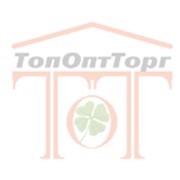 Логотип компании Топоптторг, ООО (Санкт-Петербург)