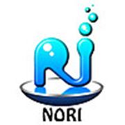 Логотип компании ООО “Нори“ (Владивосток)