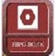 Логотип компании ООО“Евро-вояж» (Минск)