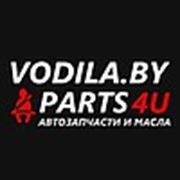 Логотип компании ИП ЕВДОКИМЕНКО (Минск)