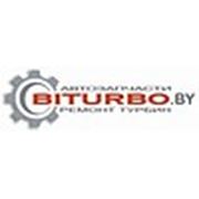 Логотип компании ООО“АвтоСкаут» Интернет-магазин автозапчастей Biturbo.by (Витебск)