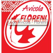 Логотип компании Floreni (Флорень) АО (Кишинев)