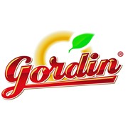 Логотип компании Gordincom, SRL (Кишинев)