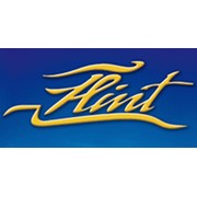Логотип компании Флинт, ООО (Санкт-Петербург)