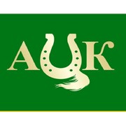 Логотип компании Центр аудита и консалтинга, ЧП (Харьков)
