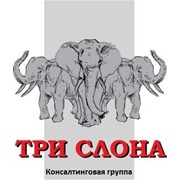 Логотип компании Консалтинговая группа ТРИ СЛОНА, ЧП (Киев)