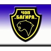 Логотип компании Частное охранное предприятие Багира, ООО (Нижний Новгород)