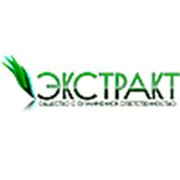 Логотип компании ООО “Экстракт“ (Минск)