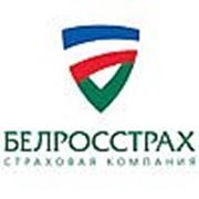 Логотип компании СК “Белросстрах“ (Минск)
