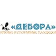 Логотип компании ООО «Дебора» (Минск)