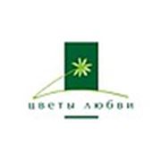 Логотип компании ЧТУП «ЦВЕТЫ ЛЮБВИ ПЛЮС» (Минск)