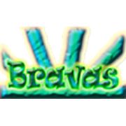 Логотип компании “Bravas“ (Минск)
