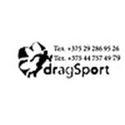 Логотип компании ЧТУП “ДРАГ-Спорт“ (Гродно)