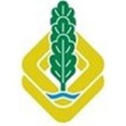 Логотип компании ОАО “Легпромразвитие“ (Бобруйск)