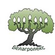 Логотип компании ООО «Белагролекс» (Минск)