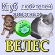 Логотип компании ЧУП «Клуб любителей животных «ВЕЛЕС» (Могилев)