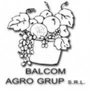Логотип компании Balcom Agro Grup, SRL (Кэушень)