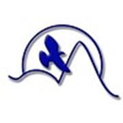 Логотип компании ООО «Сканди-Бел» (Минск)