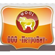 Логотип компании ПетроВит, ООО (Абакан)