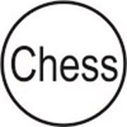 Логотип компании Chess Tattoo (Минск)