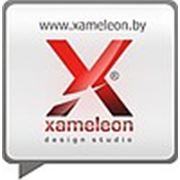 Логотип компании Design Studio Xameleon (Минск)