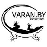 Логотип компании Фотостудия “Varan“ (Минск)