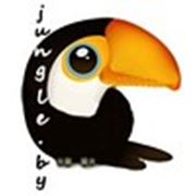 Логотип компании Джунгли (Минск)