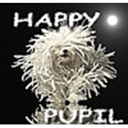 Логотип компании Школа грумеров Happy*Pupil (Минск)