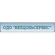 Логотип компании ОДО «БЕЛЦОЛЬСЕРВИС»- Таможенные услуги (Минск)