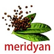 Логотип компании ТОО “ТЦ Урожай“ с Торговой Маркой «Meridyan» (Алматы)