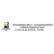 Логотип компании ТОО «Снабженец 2030» (Алматы)