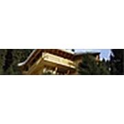 Логотип компании ТОО “ABM Style“ (Алматы)