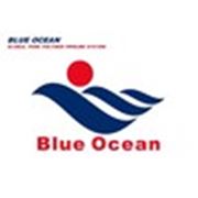 Логотип компании ТОО «Голубой Океан Караганда» (Караганда)