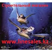 Логотип компании ТОРГОВЫЙ МАГАЗИН “LINE SALES“ (Алматы)