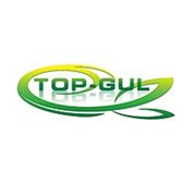 Логотип компании интернет-магазин “Топ-Гуль“ (Алматы)