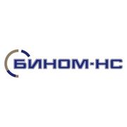 Логотип компании ТОО “БИНОМ-НС“ (Астана)