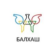Логотип компании ТOO «БАЛХАШ» — реализация химической продукции (Алматы)