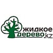 Логотип компании Компания “Жидкое дерево“ (Алматы)