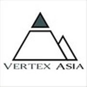 Логотип компании ТОО Vertex Asia (Усть-Каменогорск)