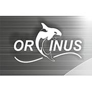 Логотип компании ТОО «Оркинус» (Алматы)