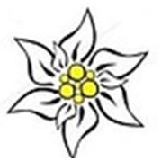 Логотип компании ТОО «SP Edelweiss Market» (Алматы)