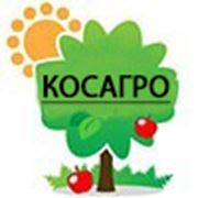 Логотип компании ТОО «КОСАГРО» (Алматы)
