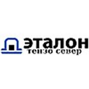 Логотип компании ТОО “Эталон Тензо Север“ (Петропавловск)