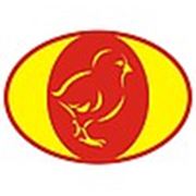 Логотип компании ТОО «Юлия Брандт Плюс» (Алматы)