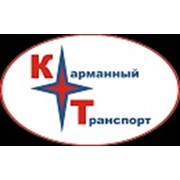 Логотип компании НПО Карманный транспорт, ООО (Санкт-Петербург)
