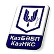 Логотип компании ТОО “КазНКС“ (Астана)